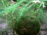 dscn0051