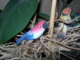 dscn0059