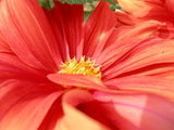 dscn0077