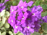 dscn0079