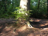 dscn0775