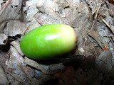 dscn0778