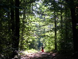 dscn0780