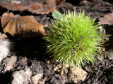 dscn0783