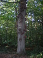 dscn0788