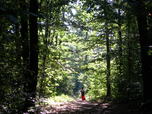 dscn0780