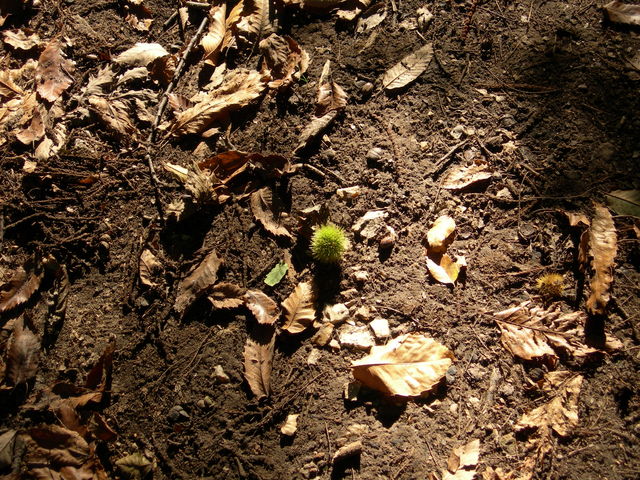 dscn0784