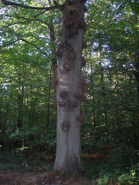 dscn0788