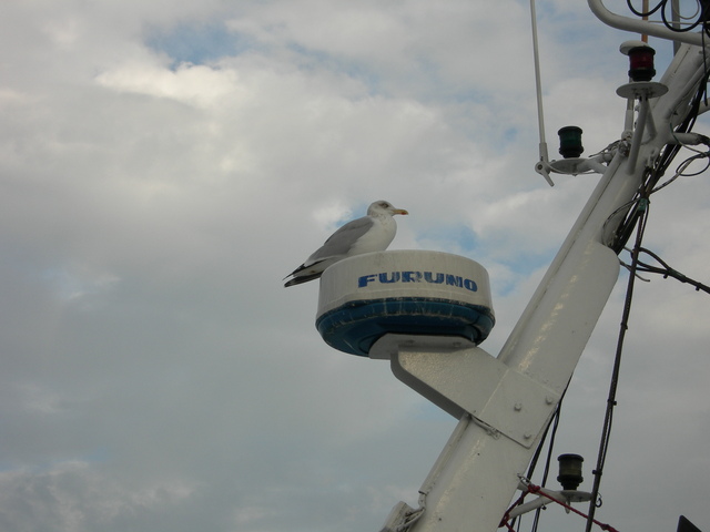 DSCN0941