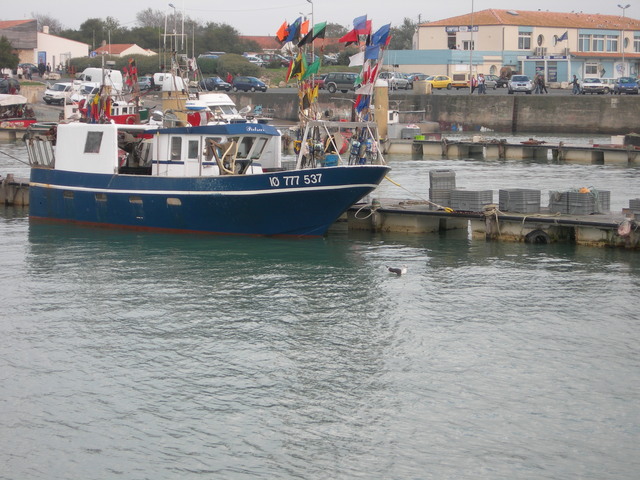 DSCN0943