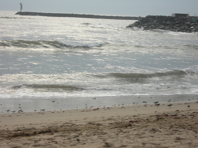 DSCN0950