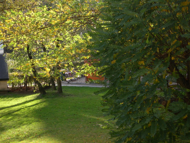 DSCN0967