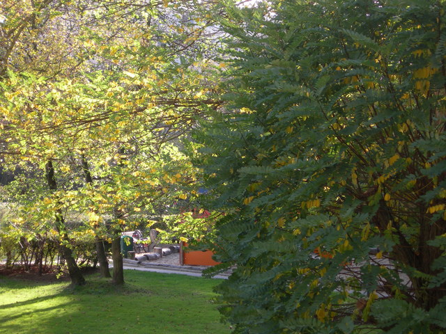 DSCN0968