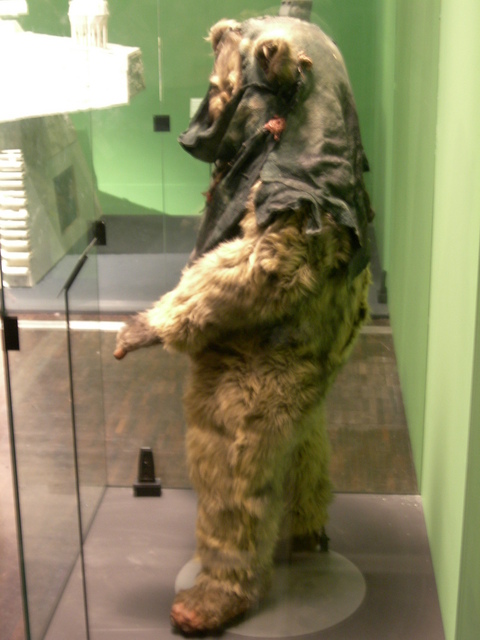 dscn1333