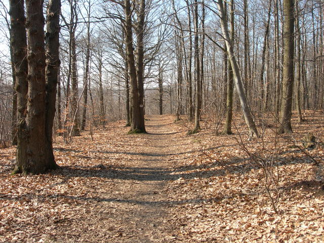dscn1477