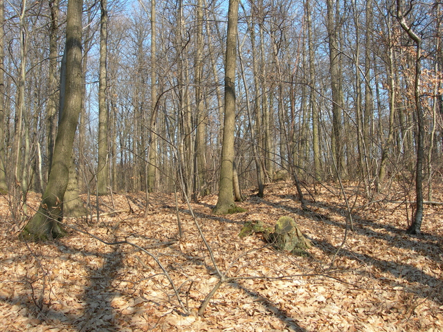 dscn1479