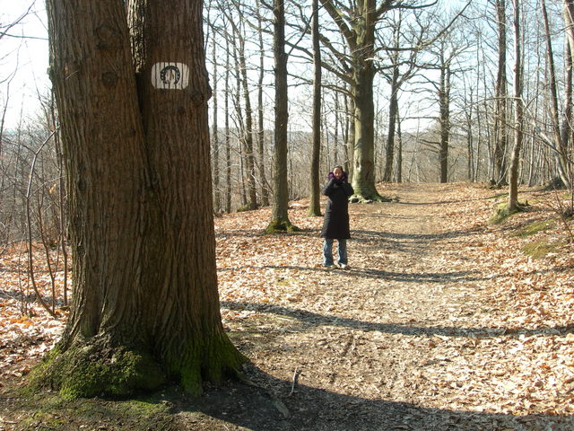 dscn1480