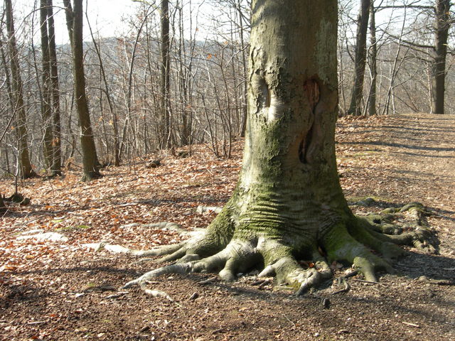 dscn1481