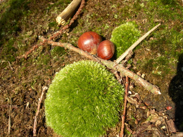 dscn1487