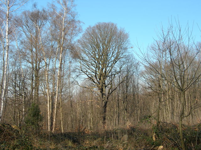dscn1490
