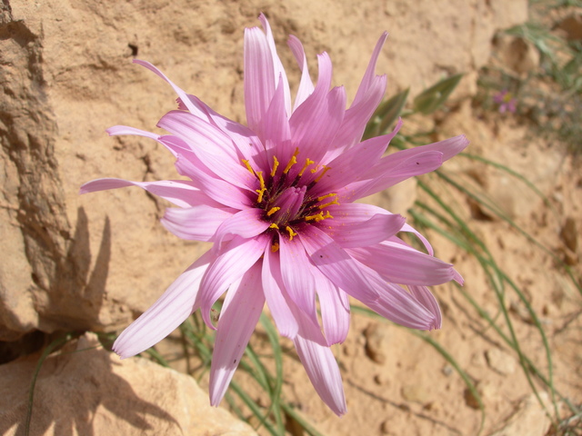 dscn1538