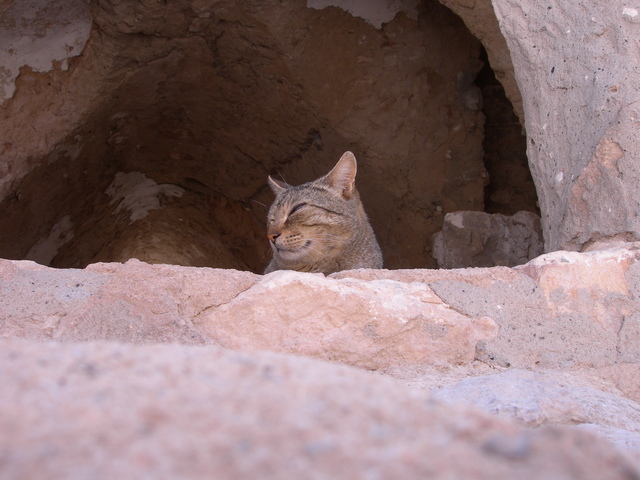 dscn1546