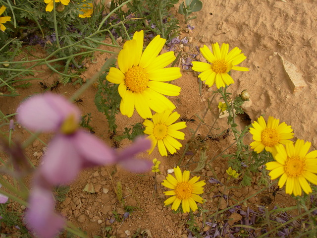 dscn1617