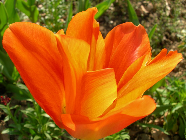 dscn1766