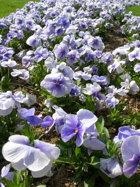 dscn1771