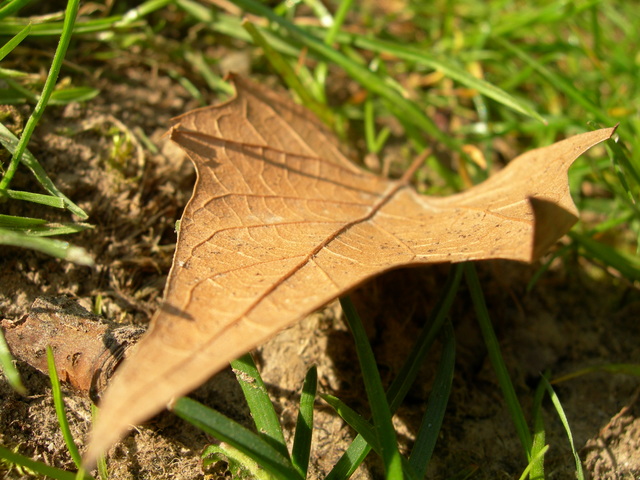 dscn1776