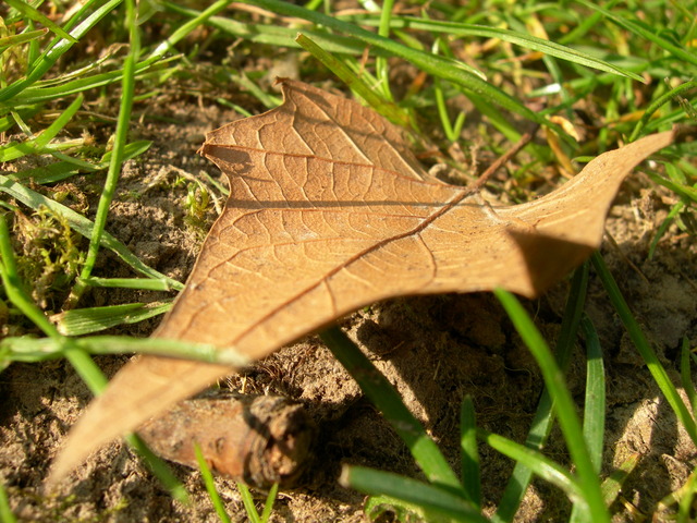 dscn1778