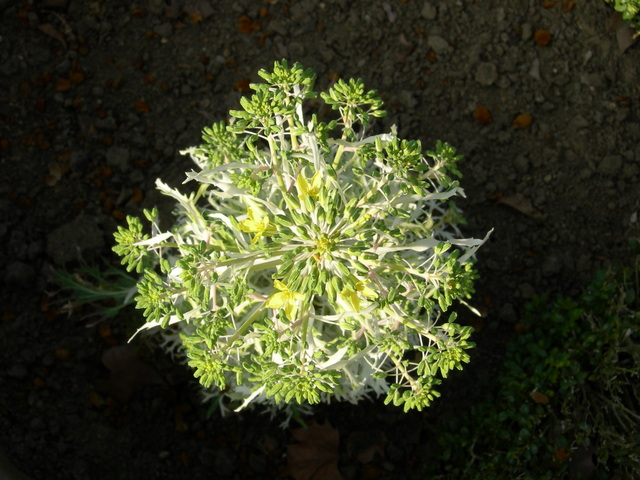 dscn1796