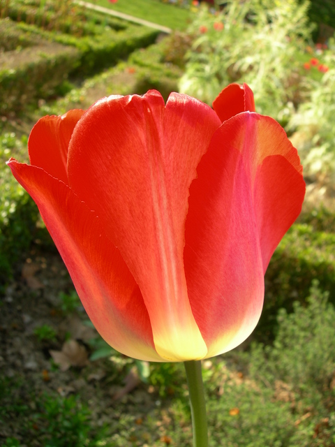 dscn1800