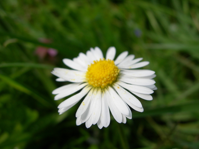dscn1815
