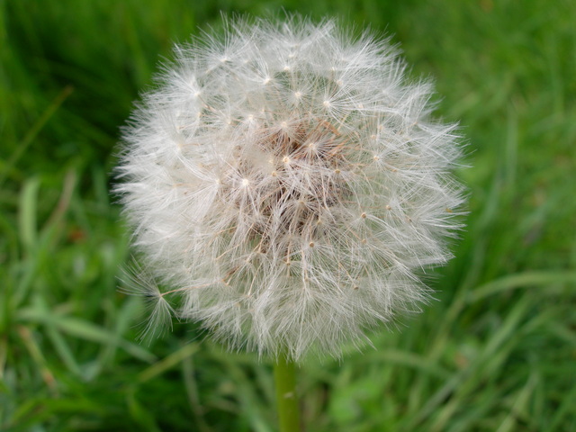 dscn1818