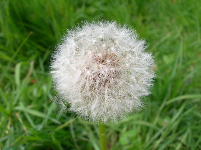 dscn1819