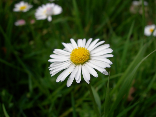 dscn1820