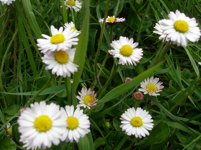 dscn1833