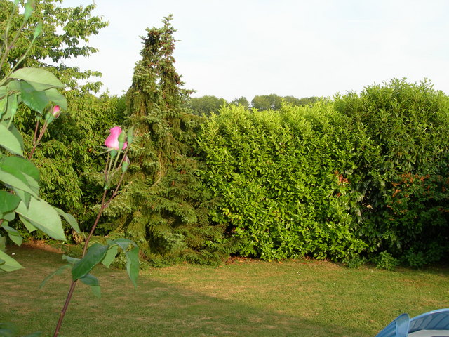 DSCN1993
