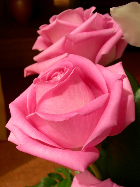 DSCN2039