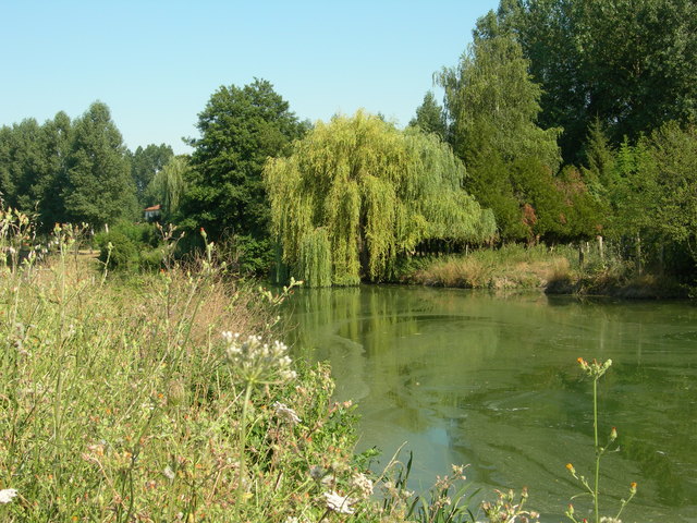 DSCN0723