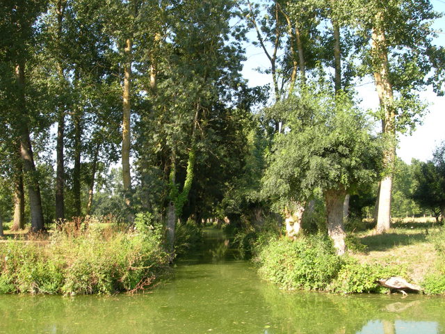 DSCN0732