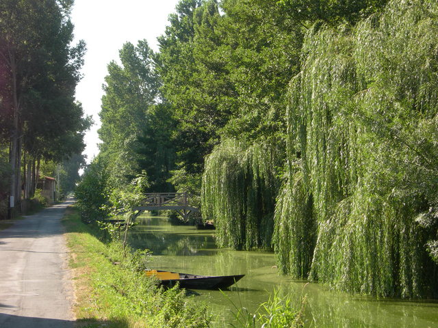 DSCN0734