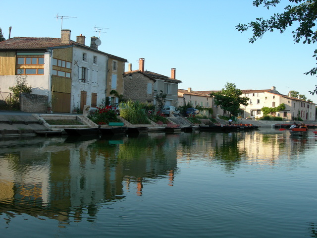 DSCN0767
