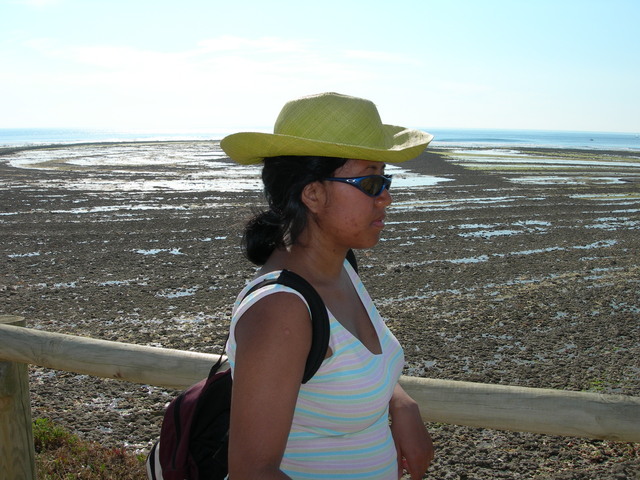 DSCN0781