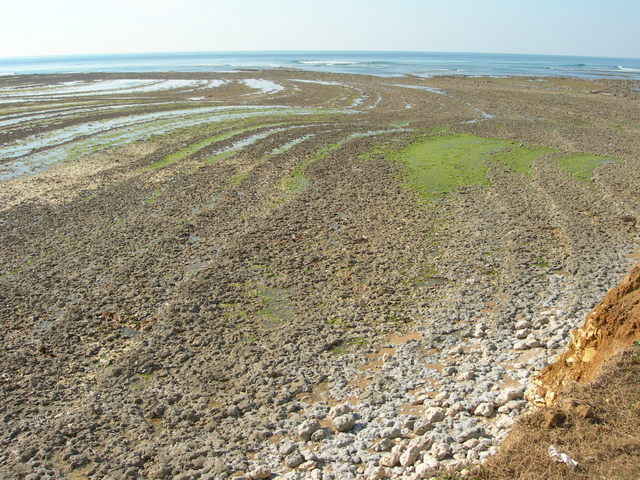 DSCN0783