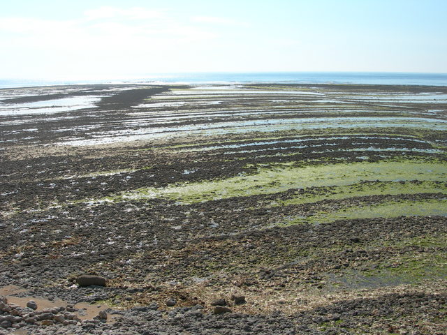 DSCN0785