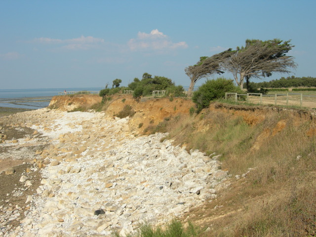 DSCN0791