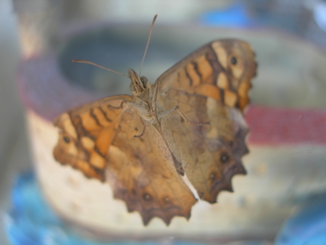DSCN0797