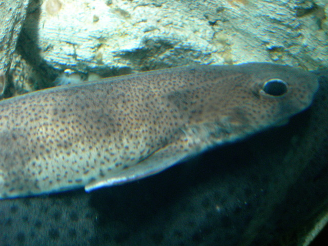 DSCN0813